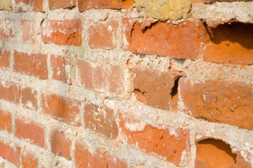 Obraz premium Background of a brick wall close up on a Sunny day