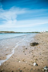 beach in the morning on a sunny day