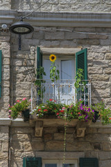 Fototapeta na wymiar Old-fashioned window with green shutters, sunflower, flowerpots and grey bricked wall in Italy