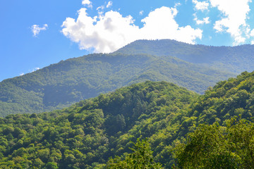 Landscape Of Abkhazia. Mountains and forests