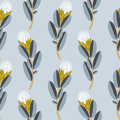 Protea or sugarbush flower seamless pattern exotic vintage minimalism aesthetic, retro background.