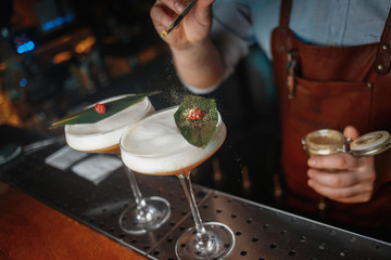 cropped shot of barman preparing cocktails