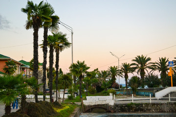Fototapeta na wymiar Landscape of a summer resort town. Palm trees, sea, recreation