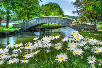 bridge over the river