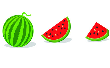 watermelon vector illustration isolated