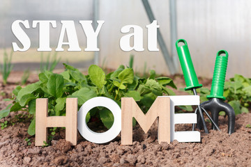 Stay at home. Quarantine, isolation of the house in the garden. Agriculture, planting, depression....