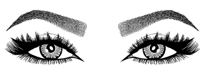 Illustration with woman's eyes, eyelashes and eyebrows. Realistic sexy makeup look. Tattoo design. Logo for brow bar or lash salon. - obrazy, fototapety, plakaty