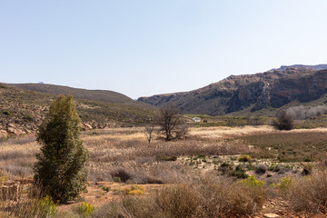 cederberg valley