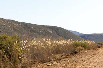 mountain landscape with blue sky