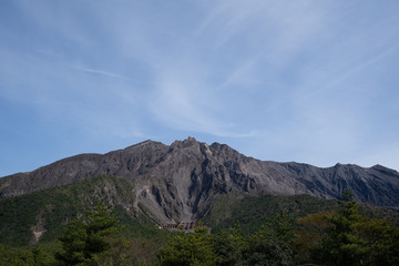 Fototapeta premium 桜島