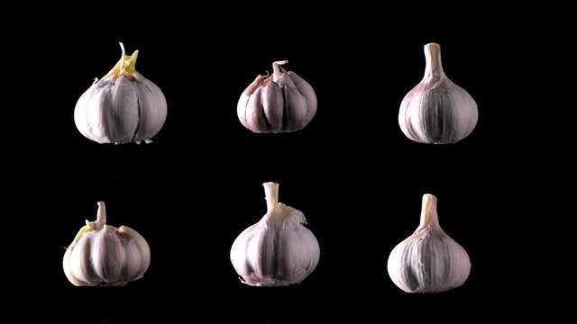 Many heads of ripe garlic spin in different directions against black background. Macro shot of many fresh organic garlic. Prevention of Coronavirus or COVID-19. Good for immunity