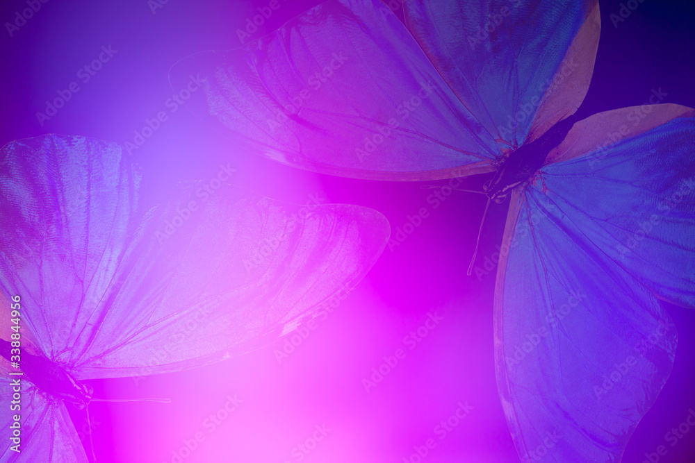 Poster gradient colored background with highlights with butterfly wings