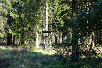 Ein verlassener Hochsitz auf der Lichtung