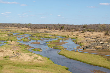 Riviere Olifants, Parc national Kruger, Afrique du Sud