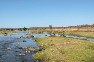 Riviere Olifants, Parc national Kruger, Afrique du Sud