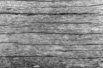 Black and white wood with many cracks and hole, Wall texture background.