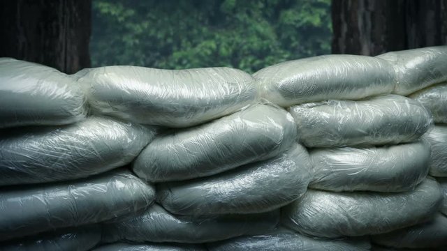 Cocaine Bags In South American Jungle Shed