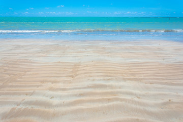 Fototapeta na wymiar Praia de areia branca no nordeste brasileiro com céu azul