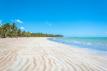 Praia de areia branca no nordeste brasileiro com céu azul