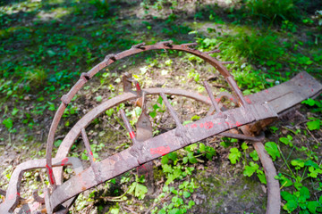 Rusty bear trap is activated in the forest