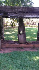 Pil&atilde;o de madeira antigo