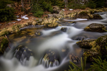 Fototapeta na wymiar Deer creek in the spring landscape of Jizera Mountains