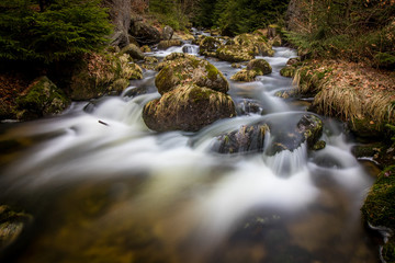Deer creek in the spring landscape of Jizera Mountains