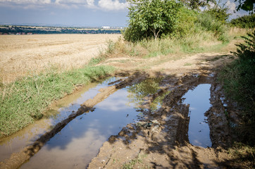 puddle of water in rural countryside