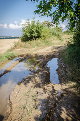 puddle of water in rural countryside