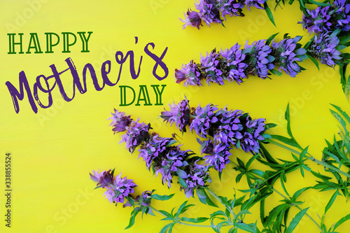Happy Mothers day banner with purple flowers on yellow background, text for holiday graphic.  Bright and cheery celebration of mom.