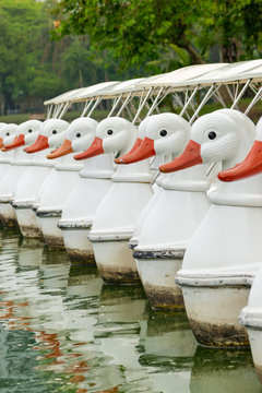 White Duck Bird Shape Water Paddle Boats