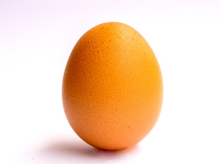 easter egg isolated on white