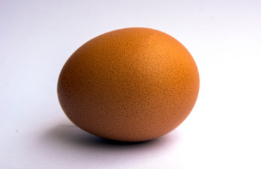 egg on white background