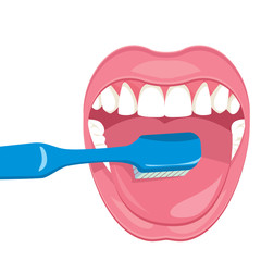 brush your teeth with Toothbrush. Vector illustration on a white background. Healthy, white teeth. 