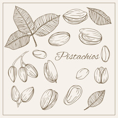 Hand drawn sketch style nuts set Pistachios Vector doodle illustrations collection isolated.