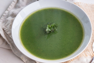 green stinging nettle soup sauce out of fresh nettle