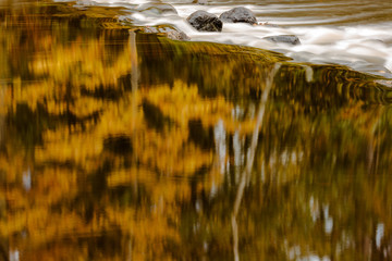 Fototapeta na wymiar The autumn shoreline trees reflect off the swift surface of the pool just above the rapids in the Manitowish River, near Boulder Junction, Wisconsin in early October