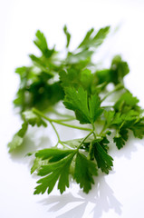Prezzemolo isolato su fondo bianco