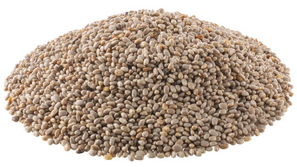 White chia seeds pile, paths