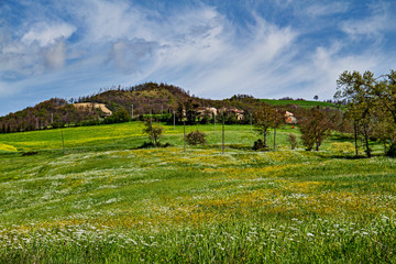 landscape in tuscany italy, green meadows in low hills with beautiful blue sky with clouds