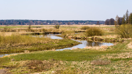 Rzeka Narew. Dolina Górnej Narwi. Wiosna na Podlasiu, Polska