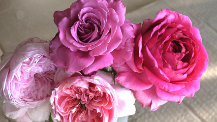 Withered pink roses on the table