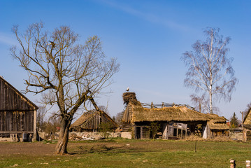 Rzeka Narew. Dolina Górnej Narwi. Wiosna na Podlasiu, Polska © podlaski49