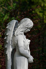 Fototapeta premium grabengel