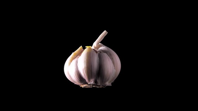 Macro shot of high quality garlic vegetable. Prepearing for cooking. Prevention of Coronavirus or COVID-19. Good for immunity
