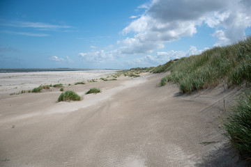 Dünen von Baltrum