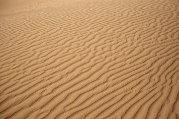 The surface of the orange sandy dunes with parallel lines made by wind.
