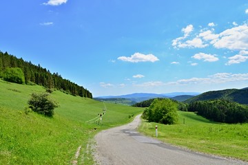 View of a large green valley with road and forest.