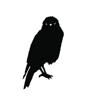 Black raven illustrated by ink on a white background. Vector. Image of a bird, crow, jackdaw, magpie. Occultism, mysticism, shamanism, symbol, magic. Chinese style, oriental.