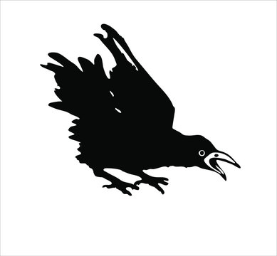 Black raven illustrated by ink on a white background. Vector. Image of a bird, crow, jackdaw, magpie. Occultism, mysticism, shamanism, symbol, magic. Chinese style, oriental.